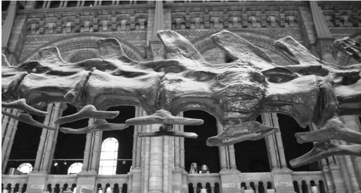 Иллюстрация к книге — Удивительные истории о словах самых разных. Книга о том, ЧТО мы говорим, сами того не ведая [b00001281.jpg]