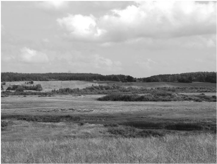 Иллюстрация к книге — Удивительные истории о словах самых разных. Книга о том, ЧТО мы говорим, сами того не ведая [b00001372.jpg]