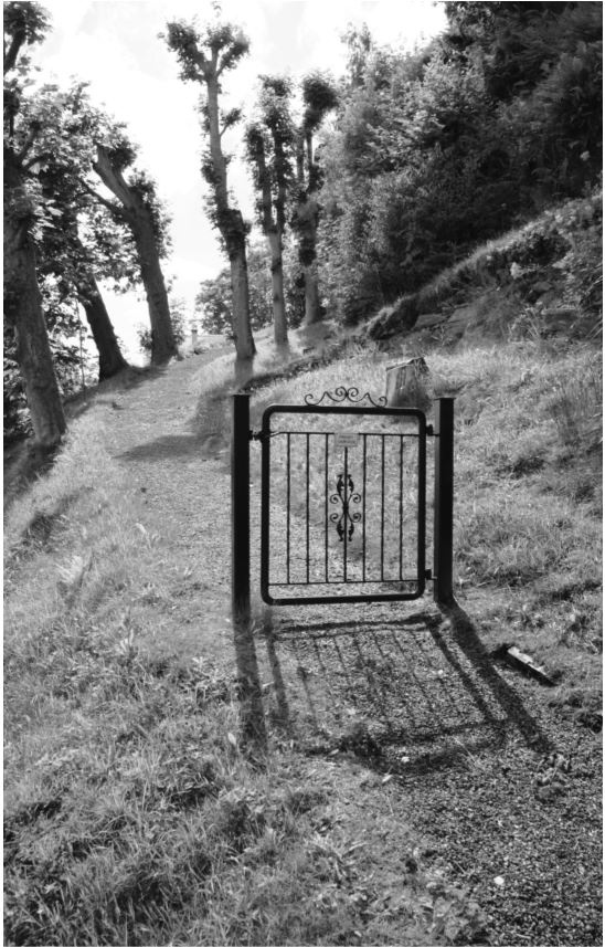 Иллюстрация к книге — Удивительные истории о словах самых разных. Книга о том, ЧТО мы говорим, сами того не ведая [b00001403.jpg]