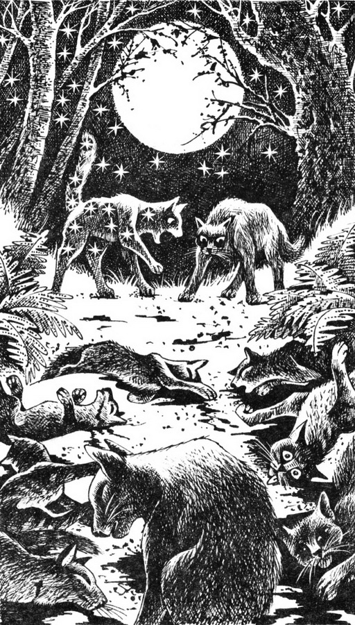 Иллюстрация к книге — Первая битва [pic_6.jpg]