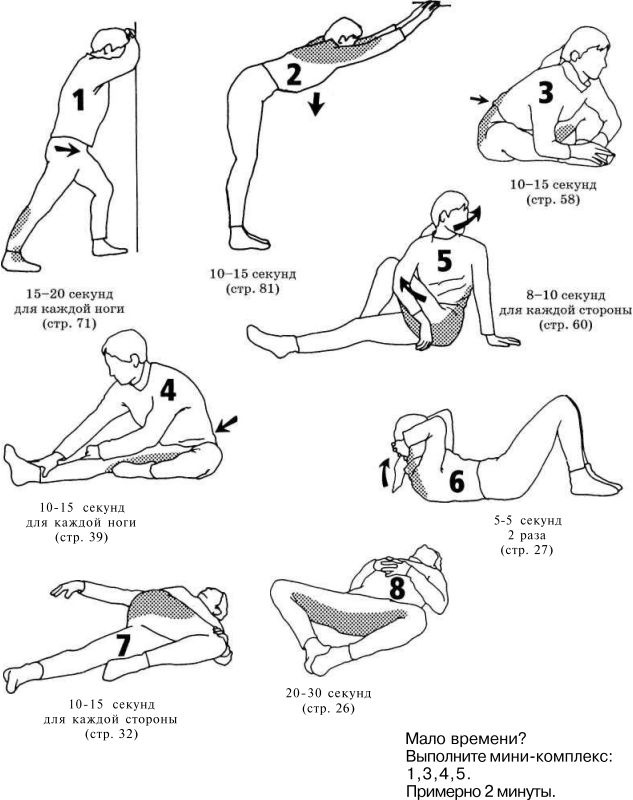 Иллюстрация к книге — Растяжка для каждого [img1838.jpg]