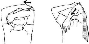 Иллюстрация к книге — Растяжка для каждого [img1b99.jpg]