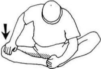 Иллюстрация к книге — Растяжка для каждого [img261e.jpg]