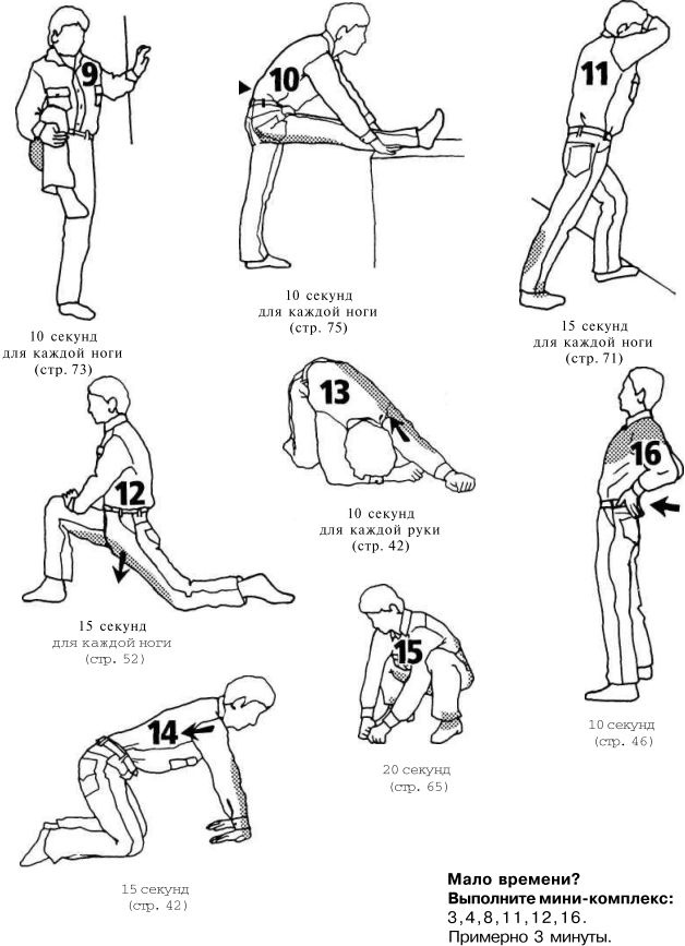 Иллюстрация к книге — Растяжка для каждого [img2734.jpg]