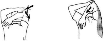 Иллюстрация к книге — Растяжка для каждого [img2747.jpg]