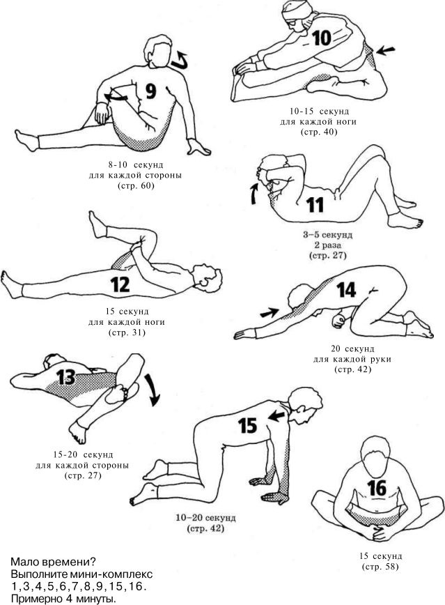 Иллюстрация к книге — Растяжка для каждого [img2f0e.jpg]