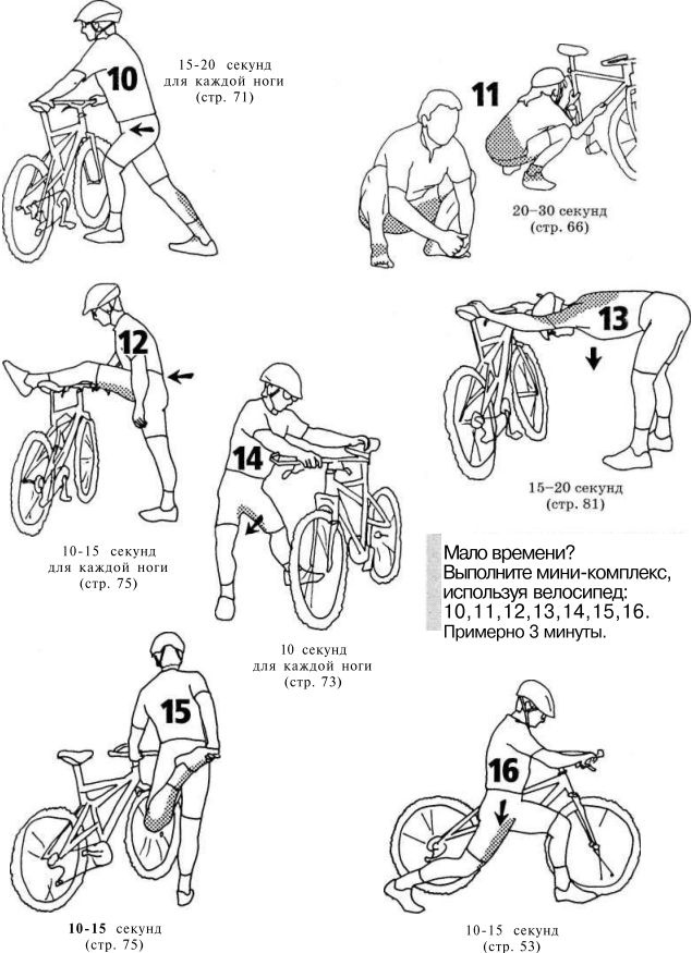 Иллюстрация к книге — Растяжка для каждого [img3579.jpg]