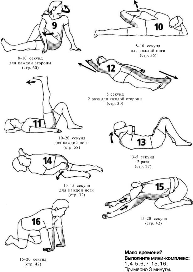 Иллюстрация к книге — Растяжка для каждого [img3ac5.jpg]