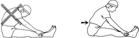 Иллюстрация к книге — Растяжка для каждого [img3b0a.jpg]