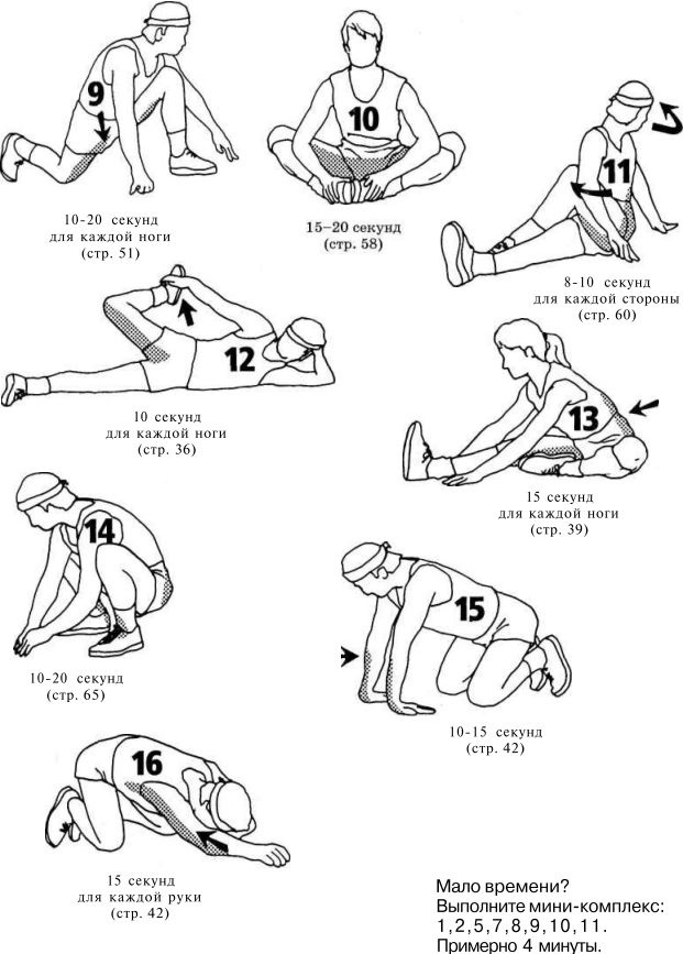 Иллюстрация к книге — Растяжка для каждого [img3ca4.jpg]