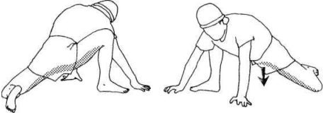 Иллюстрация к книге — Растяжка для каждого [img52dc.jpg]