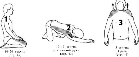 Иллюстрация к книге — Растяжка для каждого [img6d3f.jpg]