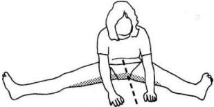 Иллюстрация к книге — Растяжка для каждого [img7093.jpg]