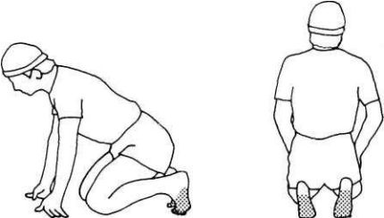 Иллюстрация к книге — Растяжка для каждого [img8464.jpg]