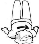 Иллюстрация к книге — Растяжка для каждого [img8be9.jpg]