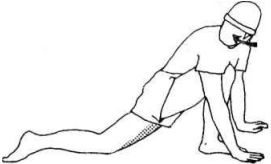 Иллюстрация к книге — Растяжка для каждого [img8f4e.jpg]