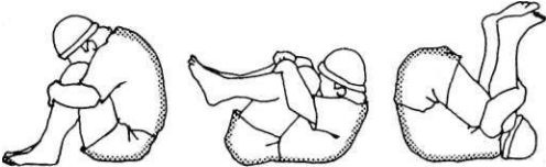 Иллюстрация к книге — Растяжка для каждого [img9334.jpg]