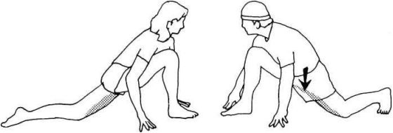 Иллюстрация к книге — Растяжка для каждого [img963d.jpg]