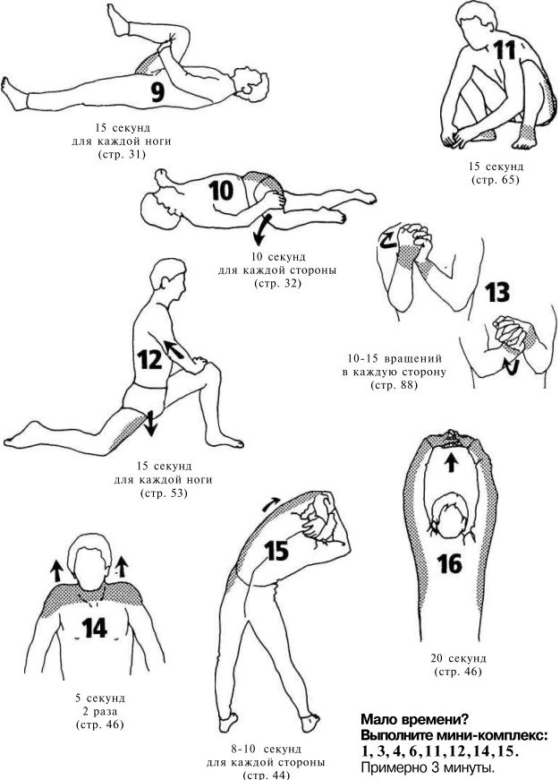 Иллюстрация к книге — Растяжка для каждого [img9b7c.jpg]