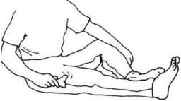 Иллюстрация к книге — Растяжка для каждого [imgaf75.jpg]