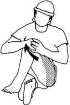 Иллюстрация к книге — Растяжка для каждого [imgbb75.jpg]