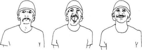 Иллюстрация к книге — Растяжка для каждого [imgc951.jpg]