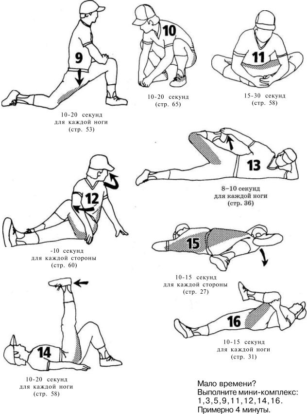 Иллюстрация к книге — Растяжка для каждого [imge839.jpg]