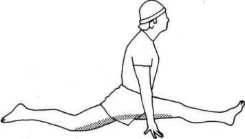 Иллюстрация к книге — Растяжка для каждого [pic16.jpg]