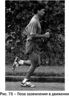 Иллюстрация к книге — Ци-бег [img5183.jpg]