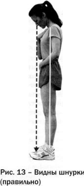 Иллюстрация к книге — Ци-бег [img65d7.jpg]