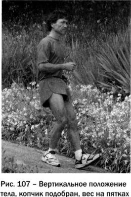 Иллюстрация к книге — Ци-бег [img905f.jpg]