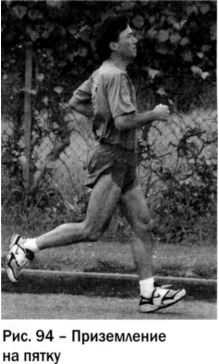 Иллюстрация к книге — Ци-бег [imgabe2.jpg]