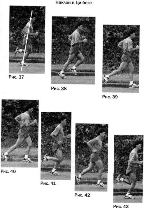 Иллюстрация к книге — Ци-бег [imgfe4f.jpg]