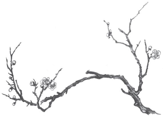 Иллюстрация к книге — Упражнения цигун для начинающих [i_006.jpg]