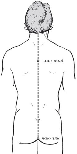 Иллюстрация к книге — Упражнения цигун для начинающих [i_007.jpg]