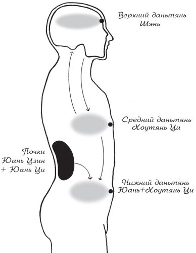 Иллюстрация к книге — Упражнения цигун для начинающих [i_012.jpg]