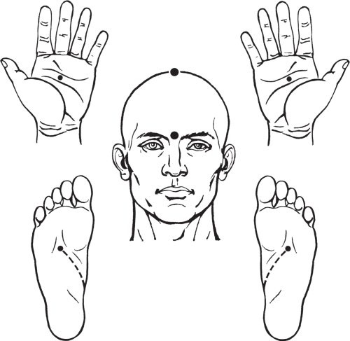 Иллюстрация к книге — Упражнения цигун для начинающих [i_019.jpg]