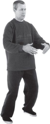 Иллюстрация к книге — Упражнения цигун для начинающих [i_021.jpg]