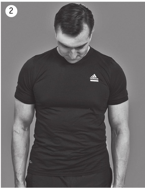 Иллюстрация к книге — 5 минут изометрических упражнений для тех, кто не отрывает попы от стула [autogen_ebook_id16.jpg]