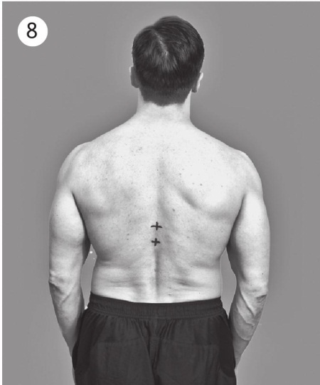 Иллюстрация к книге — 5 минут изометрических упражнений для тех, кто не отрывает попы от стула [autogen_ebook_id23.jpg]