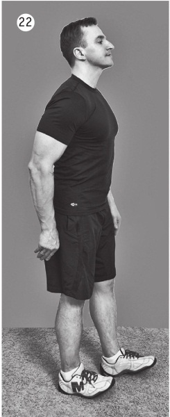 Иллюстрация к книге — 5 минут изометрических упражнений для тех, кто не отрывает попы от стула [autogen_ebook_id46.jpg]