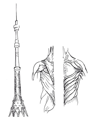 Иллюстрация к книге — 5 минут изометрических упражнений для тех, кто не отрывает попы от стула [autogen_ebook_id7.jpg]