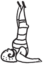 Иллюстрация к книге — Уникальная система изометрических упражнений Железного Самсона [autogen_ebook_id191.jpg]