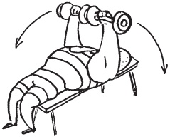 Иллюстрация к книге — Уникальная система изометрических упражнений Железного Самсона [autogen_ebook_id2.jpg]