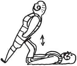 Иллюстрация к книге — Уникальная система изометрических упражнений Железного Самсона [autogen_ebook_id205.jpg]