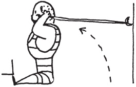 Иллюстрация к книге — Уникальная система изометрических упражнений Железного Самсона [autogen_ebook_id69.jpg]