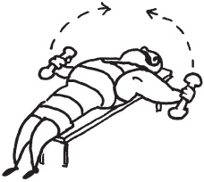 Иллюстрация к книге — Уникальная система изометрических упражнений Железного Самсона [autogen_ebook_id95.jpg]