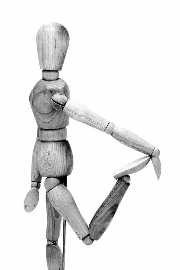 Иллюстрация к книге — The Question. Человек и здоровье [_02.jpg]