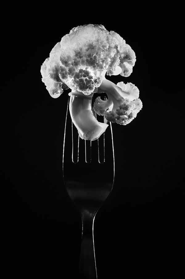 Иллюстрация к книге — The Question. Человек и здоровье [_05.jpg]