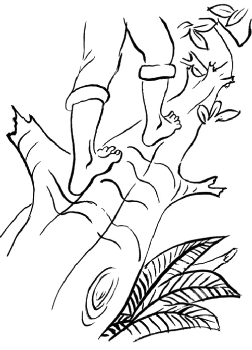 Иллюстрация к книге — Практика радости. Как ходить осознанно [i_007.jpg]